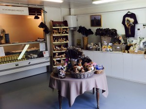 Hoevewinkel