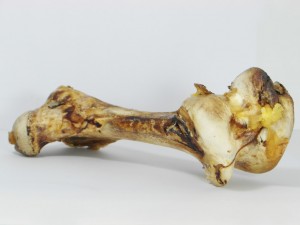 Struisvogelbot (Femur) - Hondenvoeding