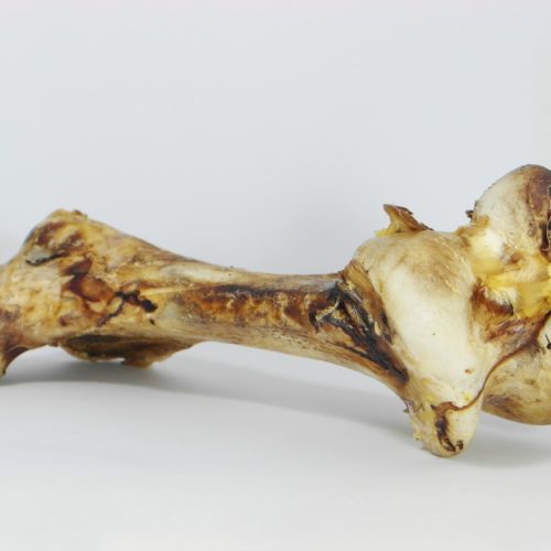 Struisvogelbot (Femur) - Hondenvoeding