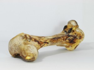 Struisvogelbot (Femur) - Hondenvoeding