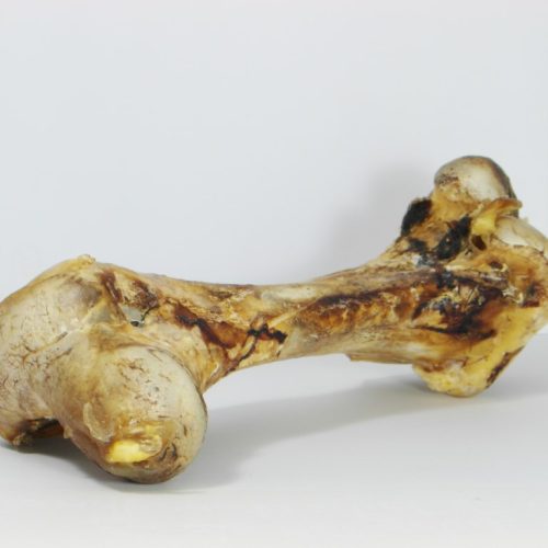 Struisvogelbot (Femur) - Hondenvoeding