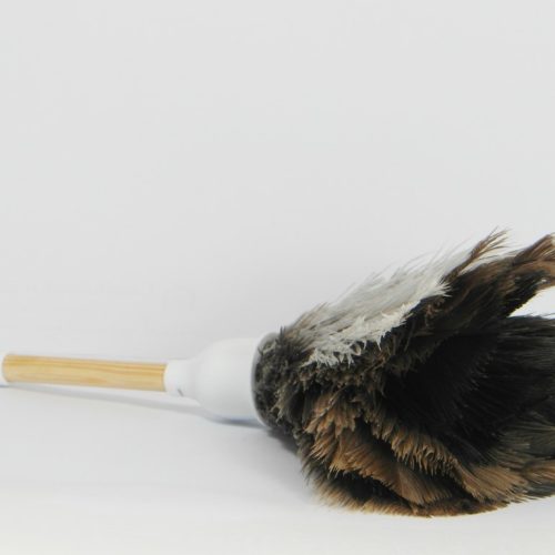 Kleine plumeau van struisvogelveren