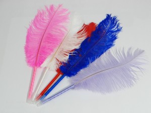 Struisvogelbalpennen met struisvogelveren