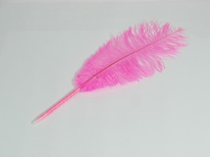 Struisvogelbalpen met roze struisvogelveer