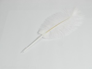 Struisvogelbalpen met witte struisvogelveer