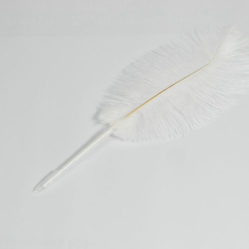 Struisvogelbalpen met witte struisvogelveer