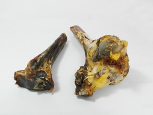 Struisvogelbot (Tibia-onder) - Hondenvoeding
