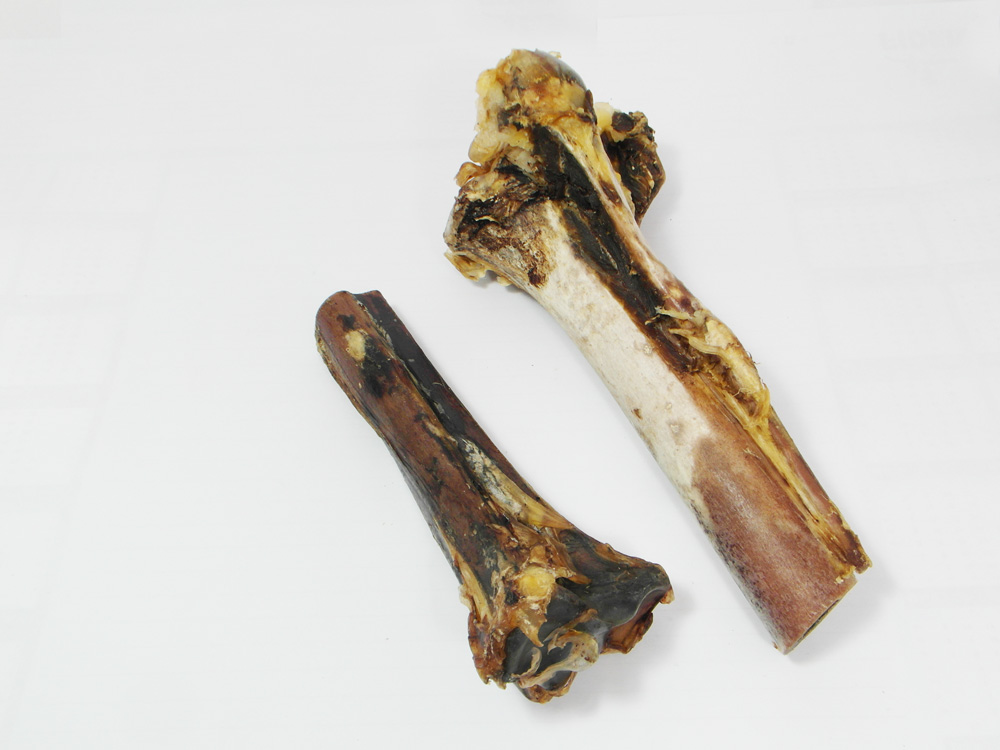 Struisvogelbot Tibia - Hondenvoeding