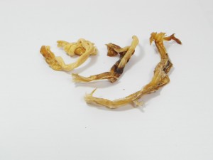 Pezen van een struisvogel (lang) - Hondensnack