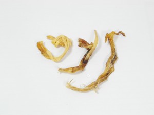 Pezen van een struisvogel (lang) - Hondensnack