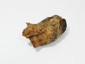 Struisvogelkniepezen - Hondensnack