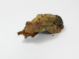 Struisvogelkniepezen - Hondensnack