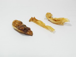 Platte-pezen van een struisvogel - Hondensnack