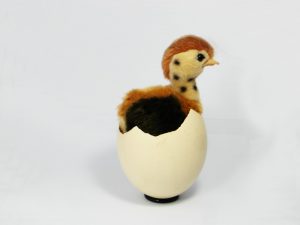 Struisvogelei met kuikentje