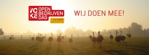 Open bedrijvendag