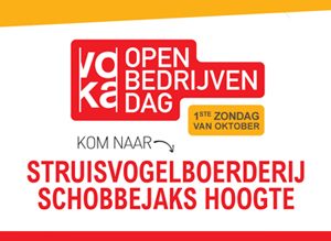 openbedrijvendag-struisvogelboerderij2