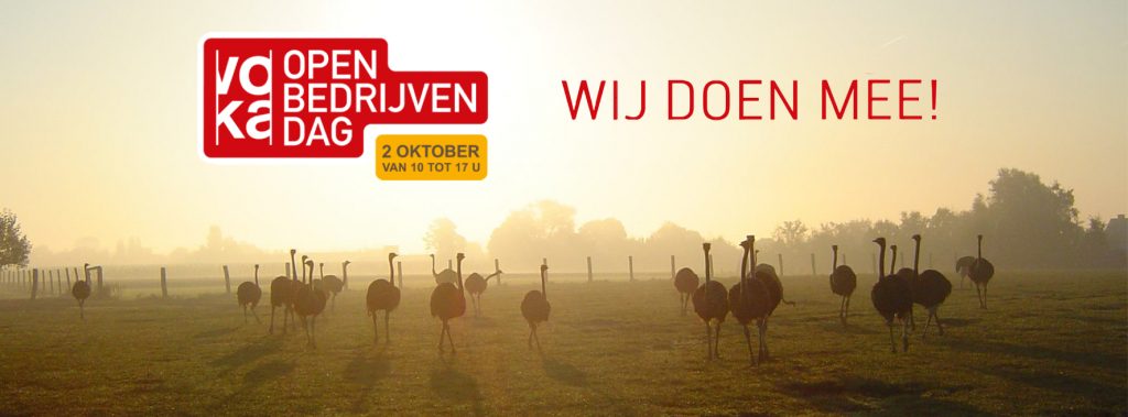 Open Bedrijvendag Struisvogelboerderij Schobbejaks Hoogte