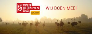 Open Bedrijvendag Struisvogelboerderij Schobbejaks Hoogte